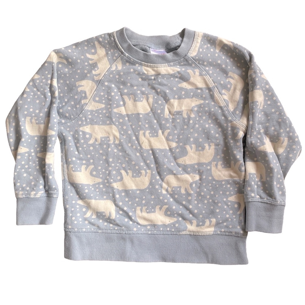 Hanna Andersson Sweatshirt